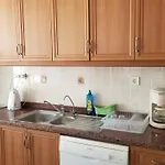 公寓 Huge Evleri 3 马尔马里斯